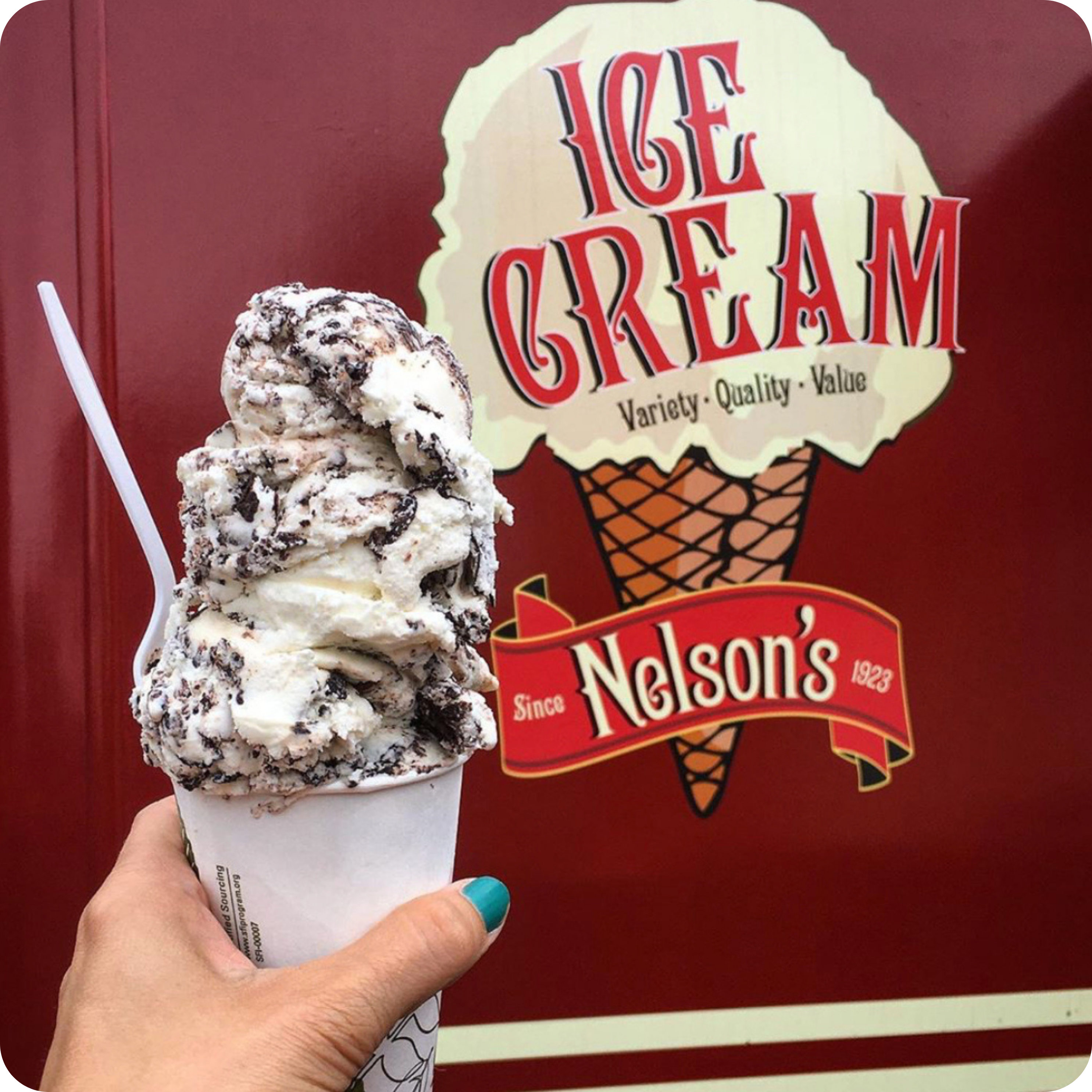 A hand holding a cup of multi-layered ice cream in front of a red sign for Nelson's Ice Cream that reads 